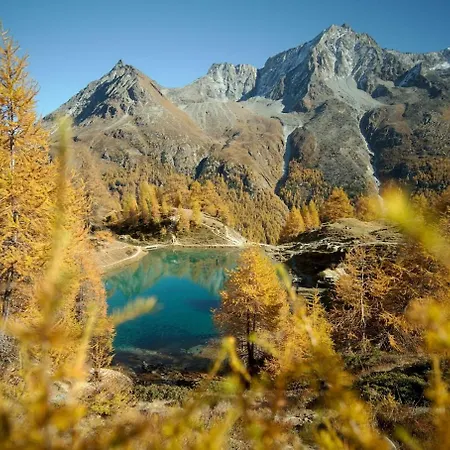 Apartamento En Plein Centre Evolène