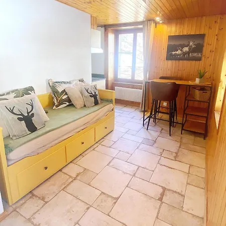 En Plein Centre Apartment *