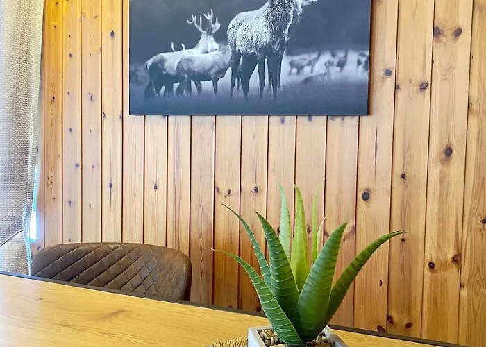 En Plein Centre * Evolène