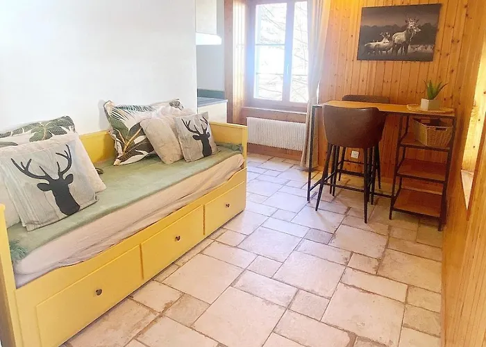 En Plein Centre Apartmán *